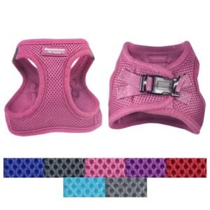 import placeholder for 9919